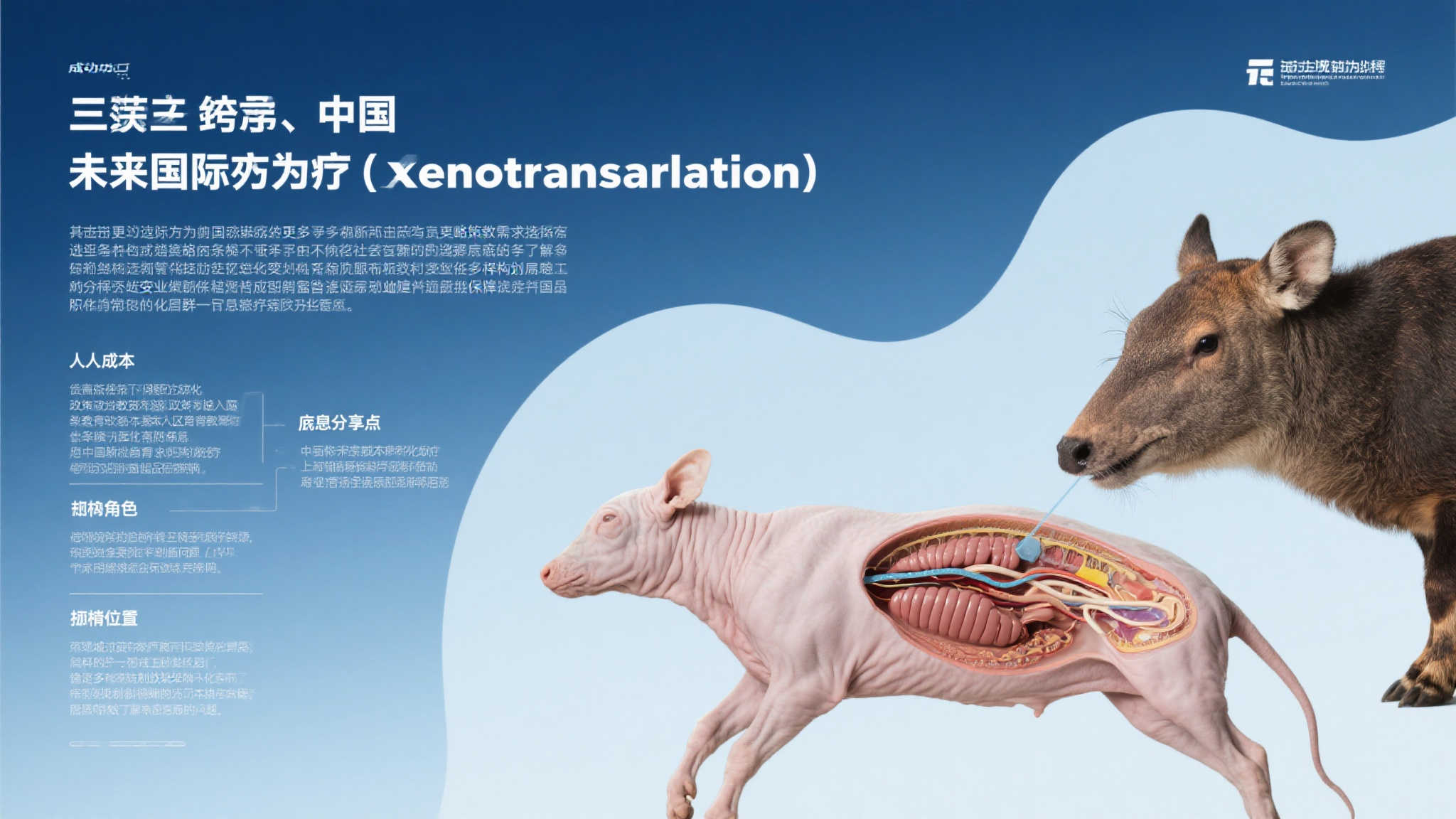 中国首例基因编辑猪肾移植患者术后康复达百日,刷新医学纪录! 中国首例基因编辑猪肾移植患者术后康复达百日,刷新医学纪录!